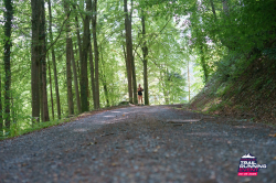 2025-08-23 KTRE 2025_121113_DSC07854